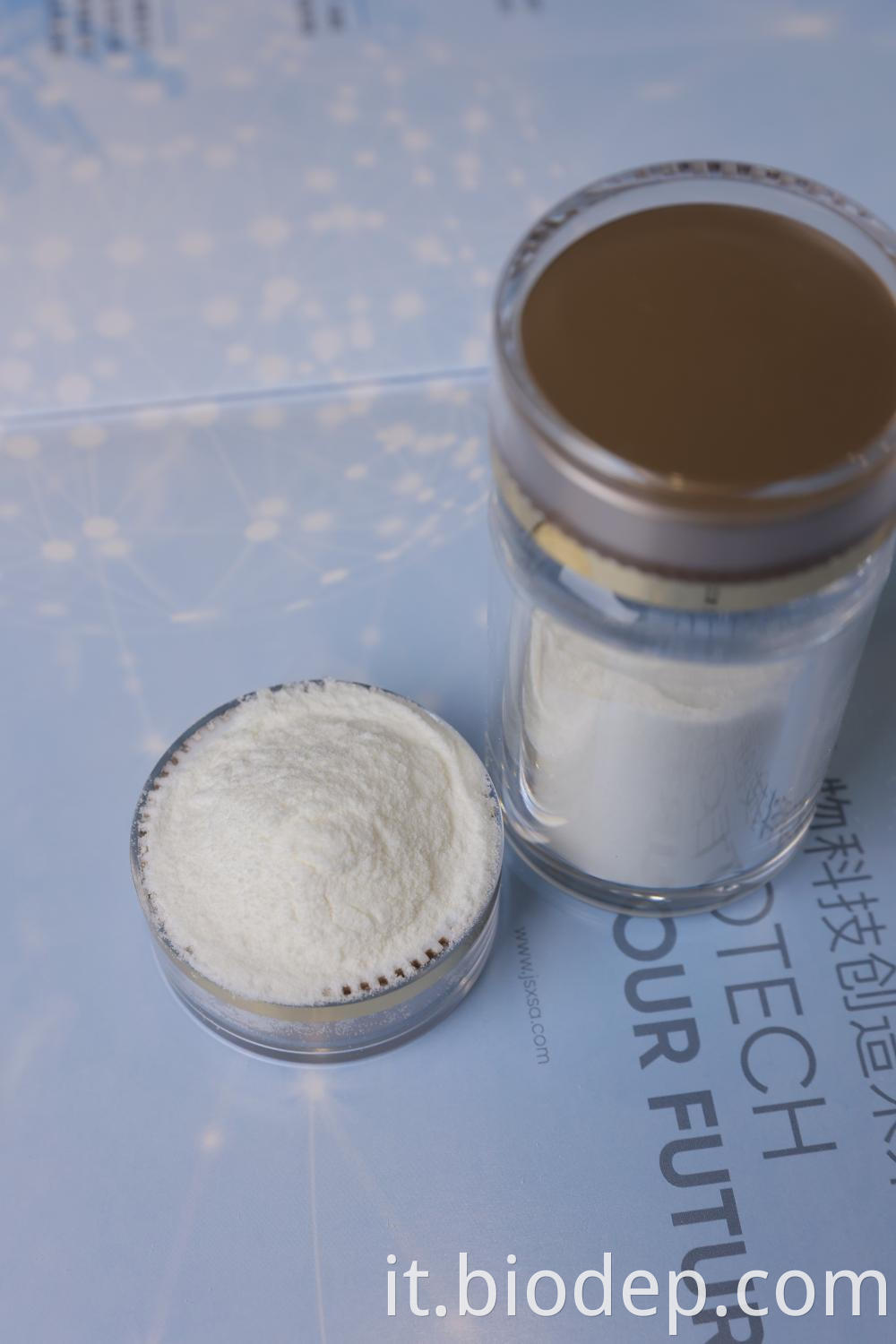 Probiotic Powder